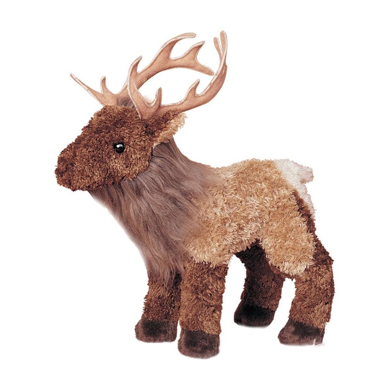 Wapiti - Elk