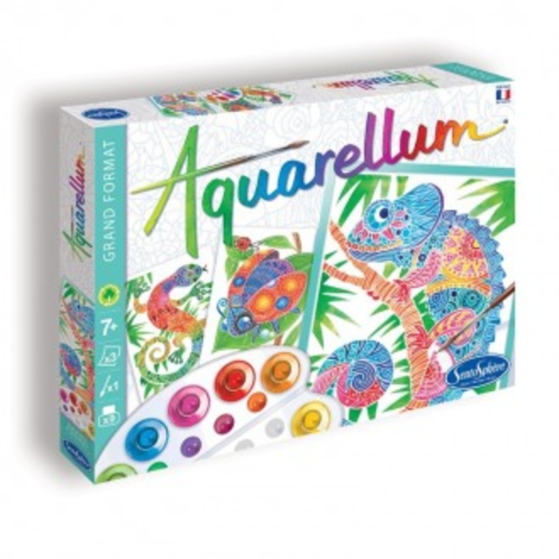 Aquarellum grand format - Cratures