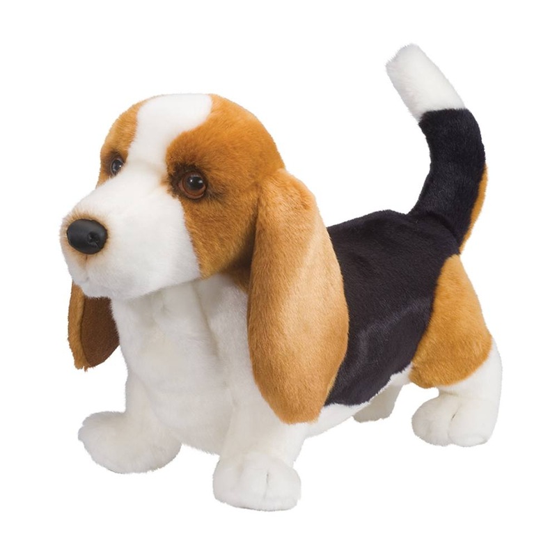 Chien Basset Hound Harold