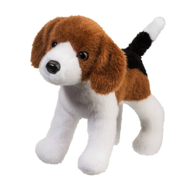 Chien Beagle Bob