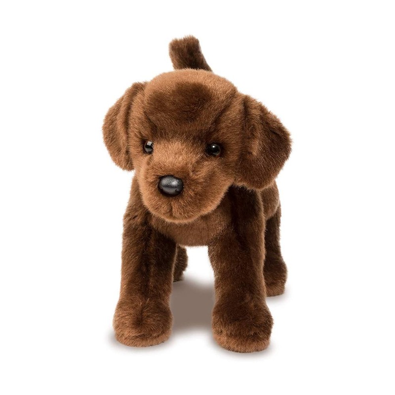 Chien Labrador Chocolat C.C. Bean