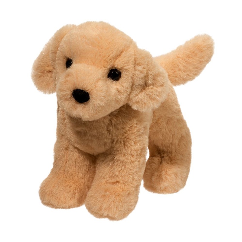 Chien Labrador Jaune Cornwell