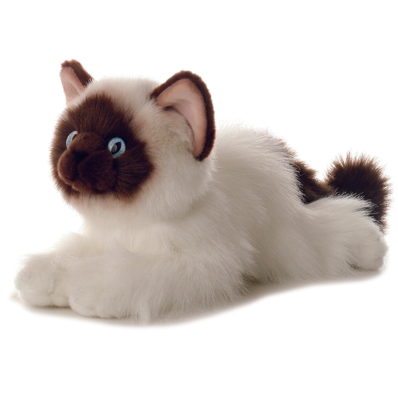 Flopsie - Bella Chat Birman - 12 po