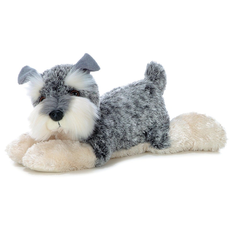 Flopsie - Ludwig Schnauzer - 12 po