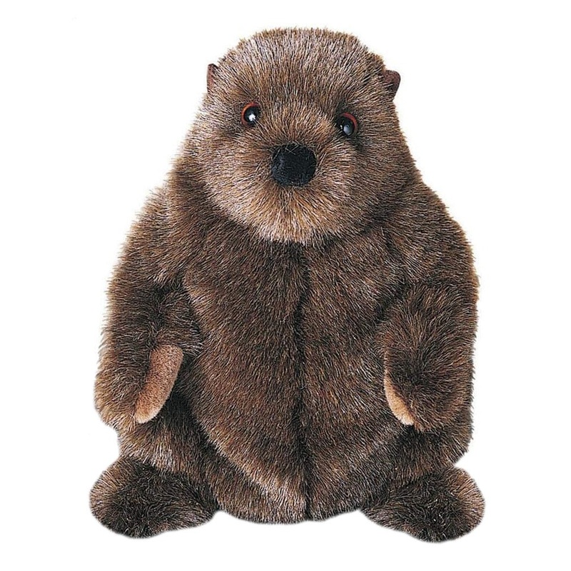 Marmotte Chuckwood