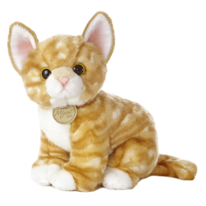 Miyoni - Chaton Tabby Orange - 10 po