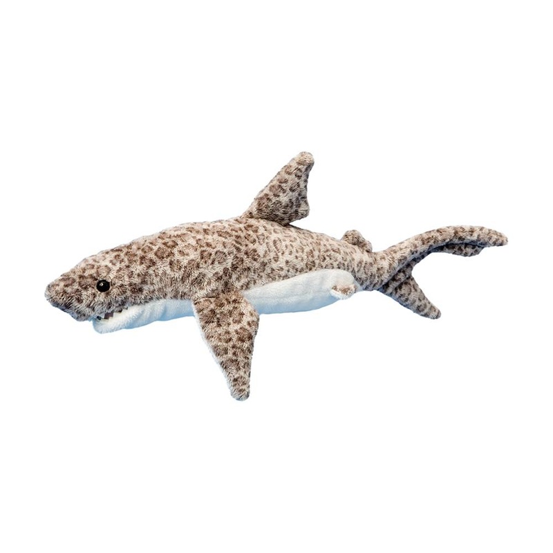 Requin Tigre Titus