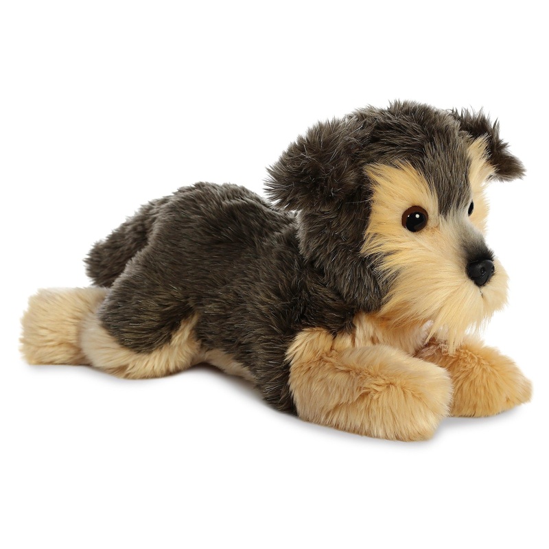 Flopsie - Yorkshire Terrier Yorky - 12 po
