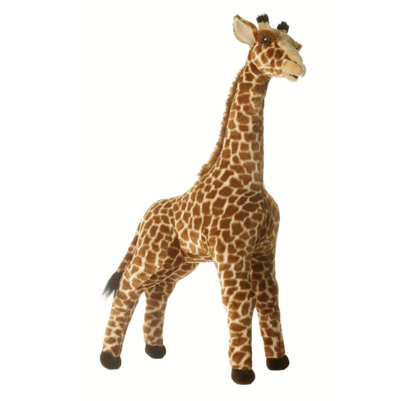 Miyoni - Acacia la giraffe - 31 po