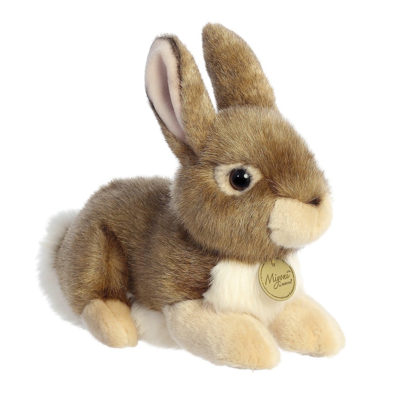 Miyoni - Lapin d'Amrique de Pques - 11 po