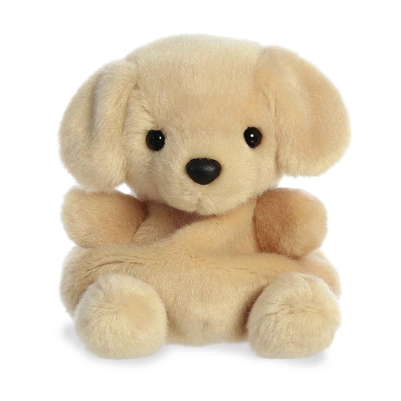 Palm Pals - Sunny le Labrador - 5 po