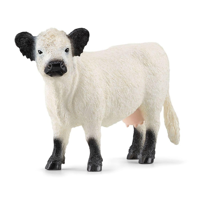 Vache Galloway