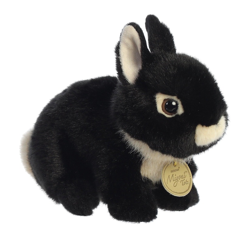Miyoni - Lapin Nain Nerlandais - 7 1/2 po