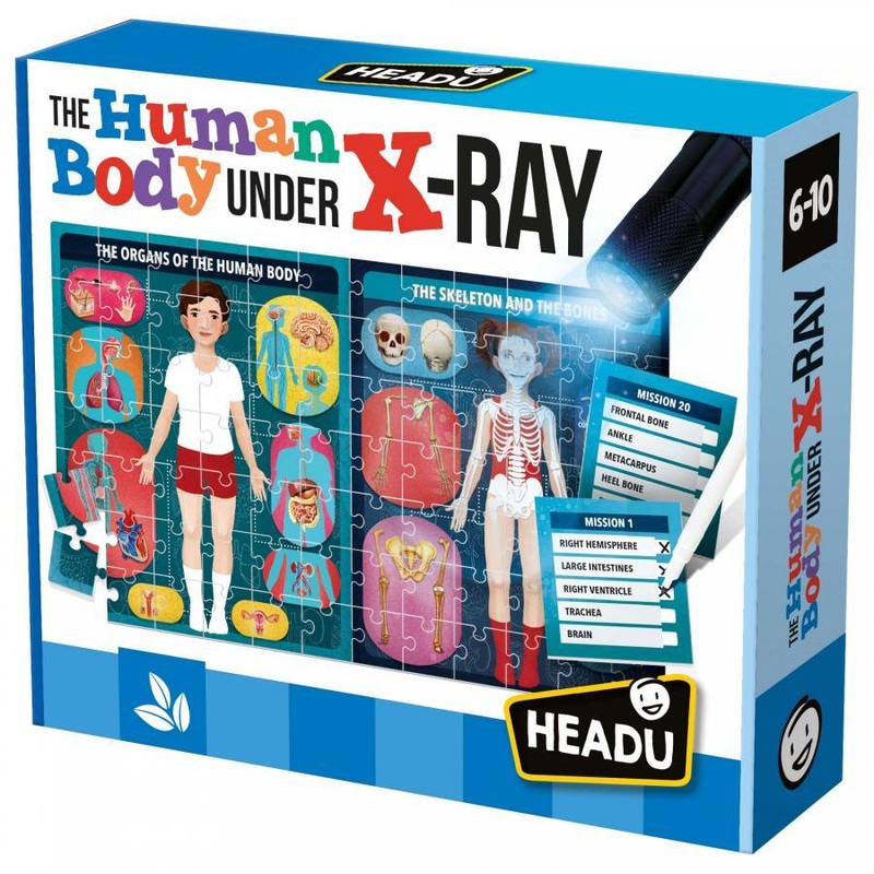 The Human Body under X-Ray (Ang)