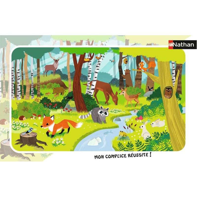 Les animaux de la fort - 15 mcx