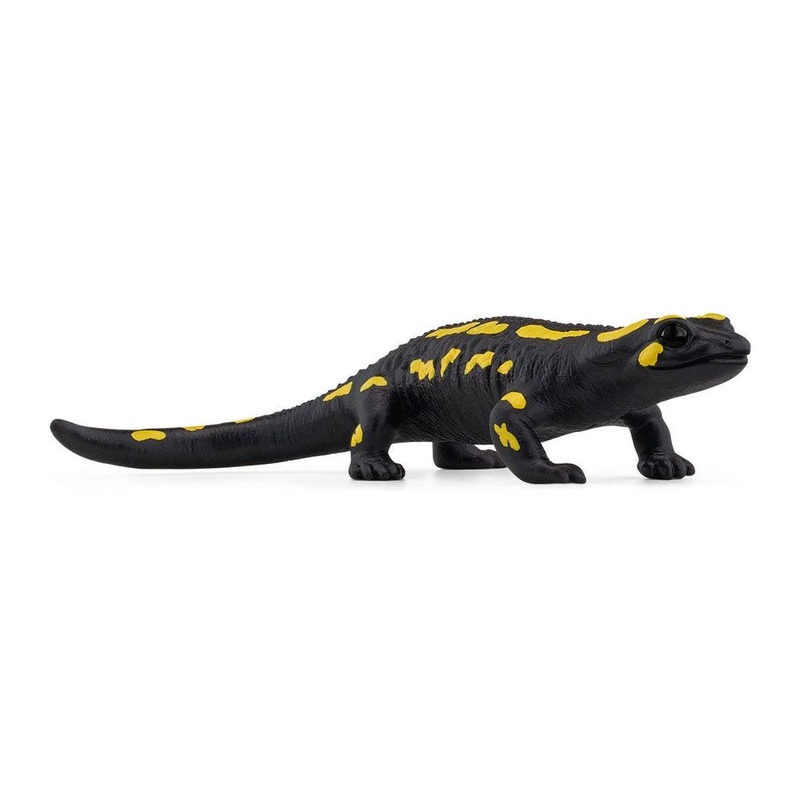 Salamandre de feu