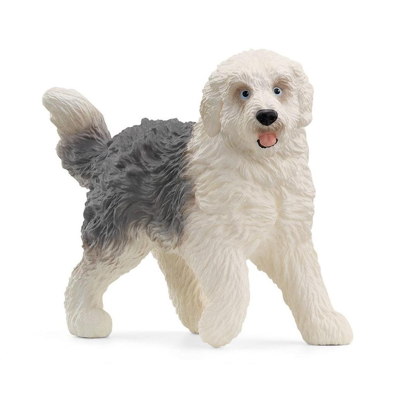Vieux chien de berger anglais