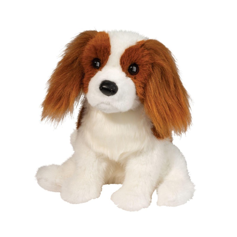 Cavalier King Charles Kingsley