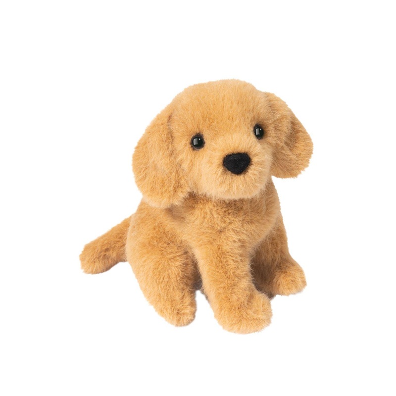 Mini golden Retriever