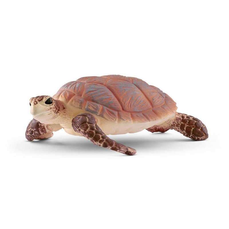 Tortue marine  bec court