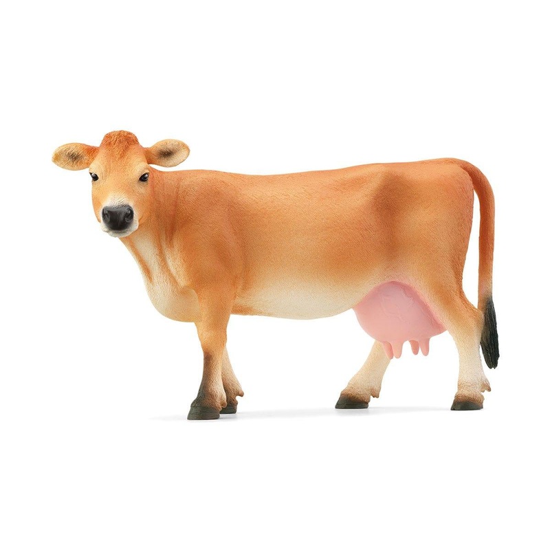 Vache de Jersey