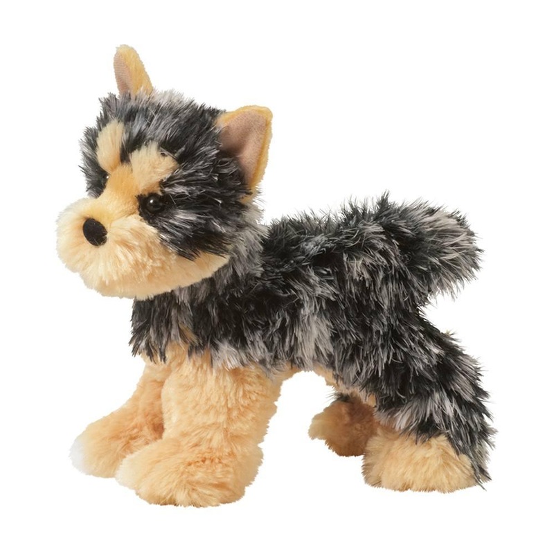 Chien Yorkshire Yonkers