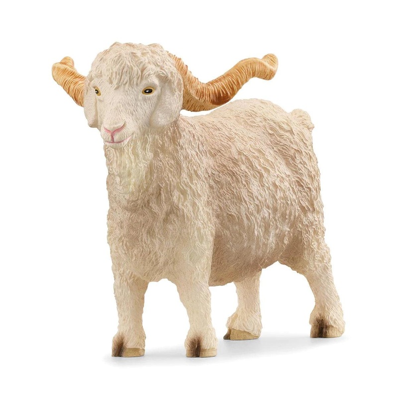 Chvre Angora