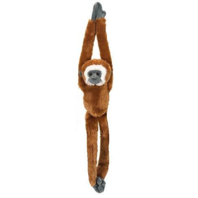 Hug the Wild - SingeGibbon
