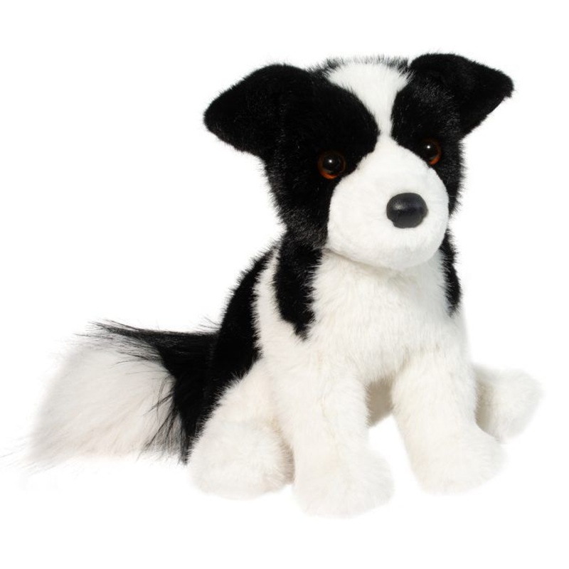 Border Collie Herdie