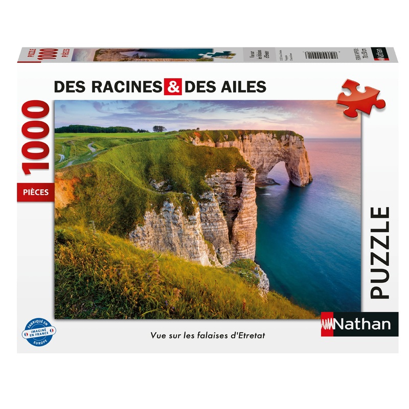 Vue sur les falaises d'Etretat - 1000 mcx