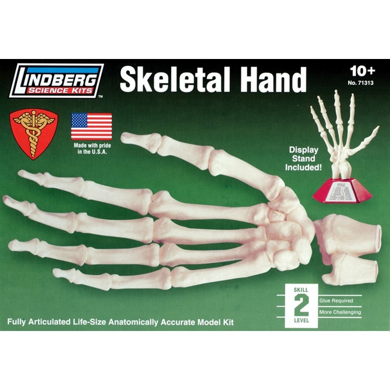 1/1 Skeletal Hand Plastic Model Kit
