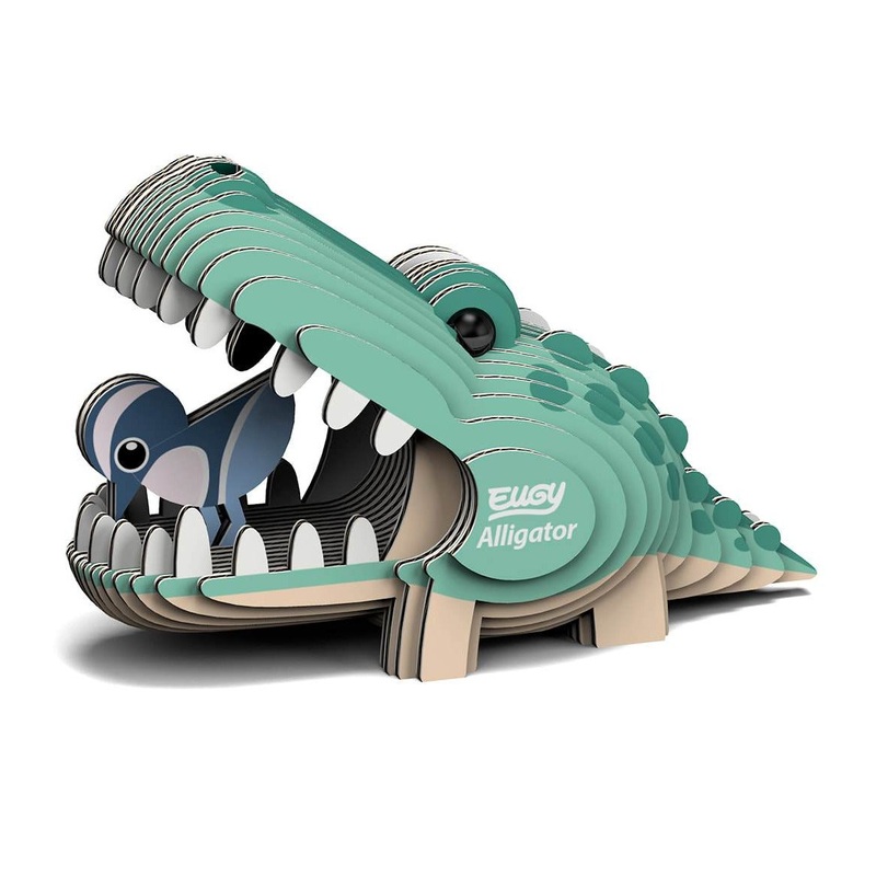 Alligator Eugy