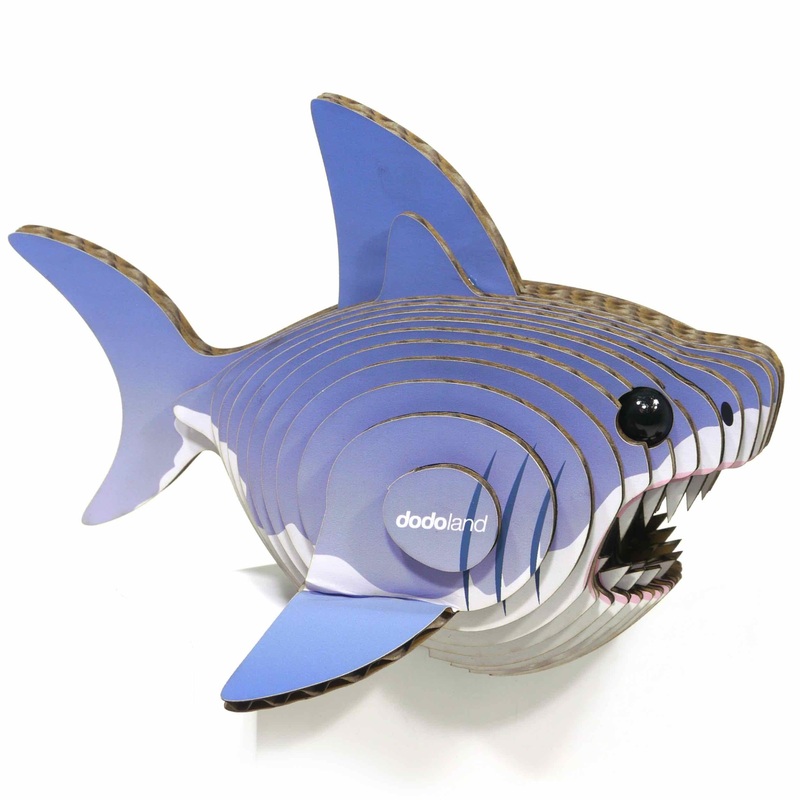 Shark Eugy