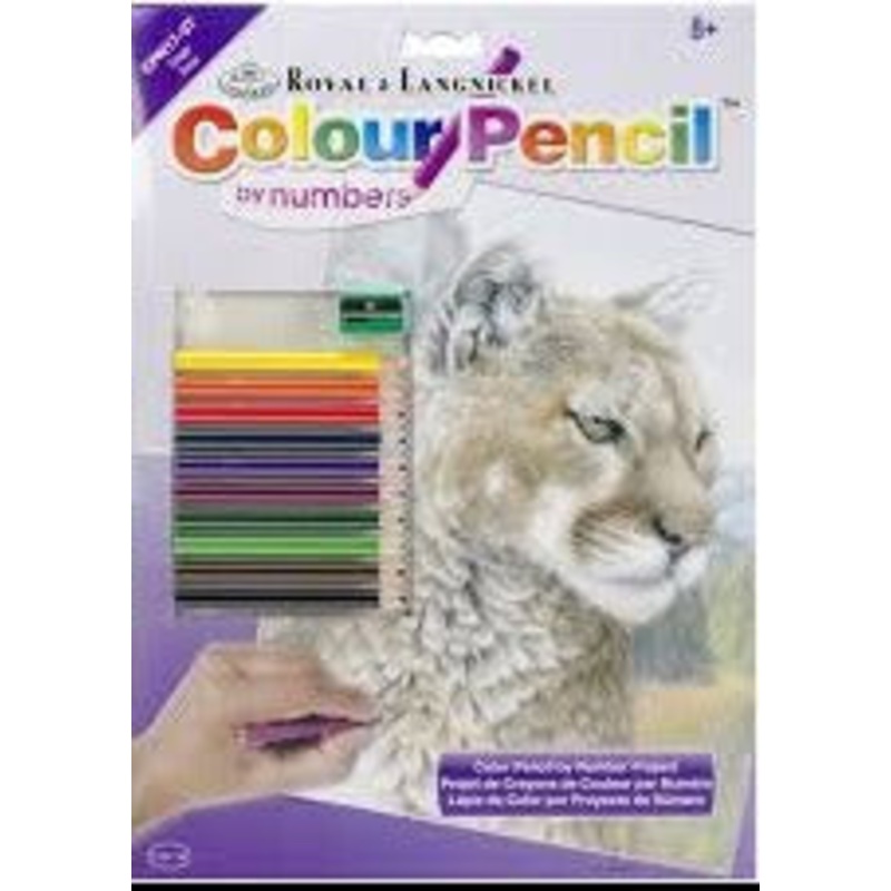 Royal Brush Color By Number Cougar CPN17