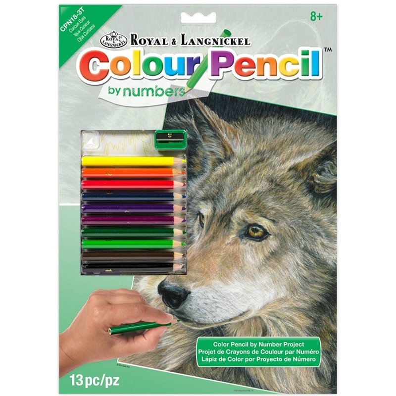 Royal Brush Color by Number Curious Eyes