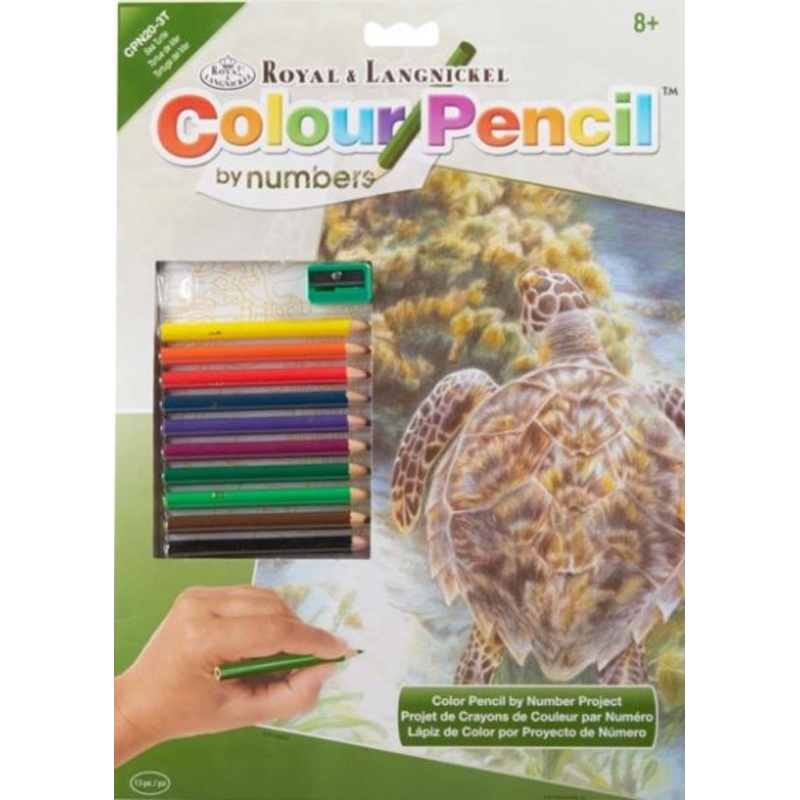 Royal Brush Color By Number Sea Turtle