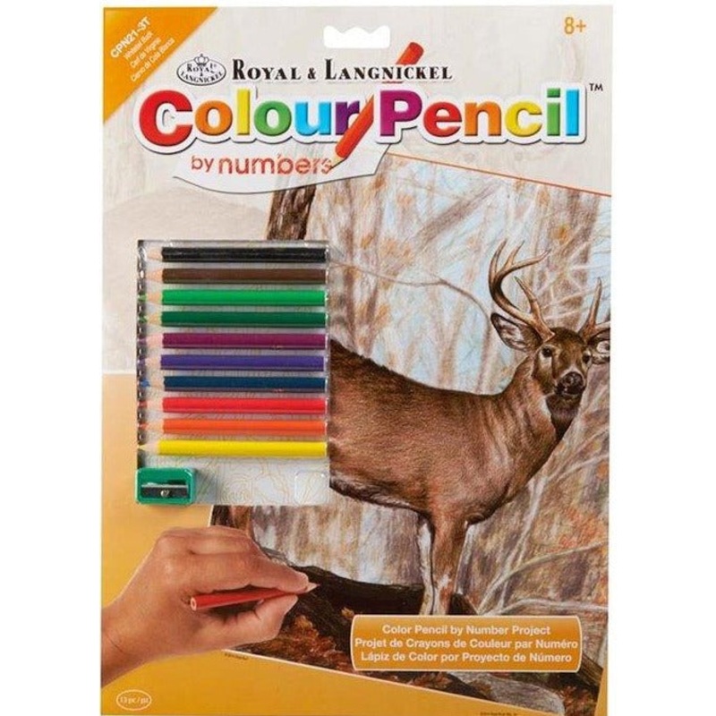 Royal Brush Color by Number Whitetail Buck