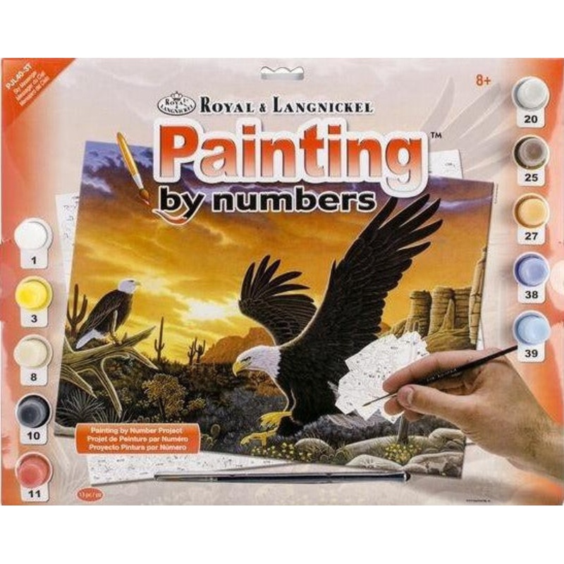 Royal Brush Paint By Number Junior Large Sky Messenger