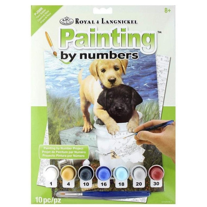 Royal Brush Paint By Number Junior Small Fishin' Buddies