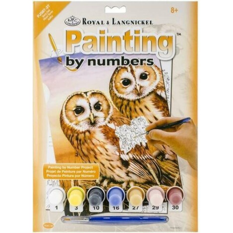 Royal Brush Paint By Number Junior Small Tanny Owls