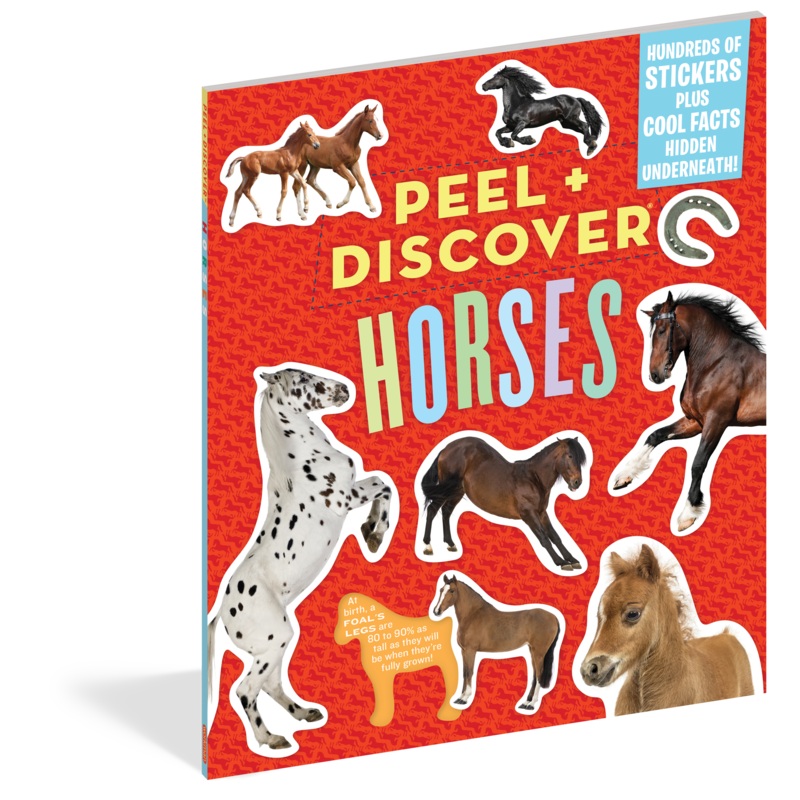 Peel + Discover: Horses