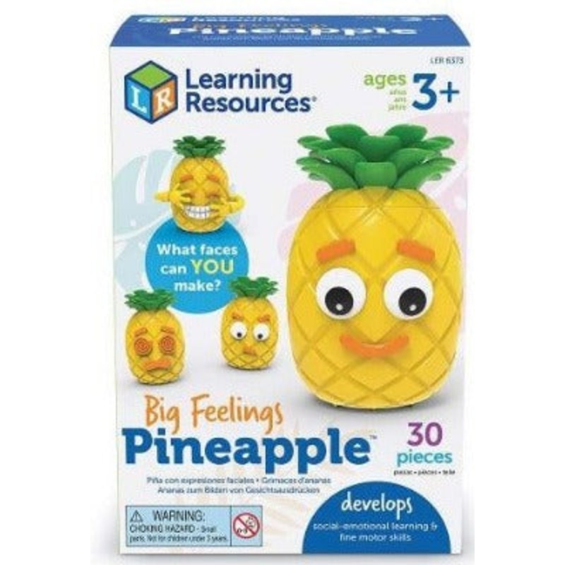 Big Feelings Pineapple