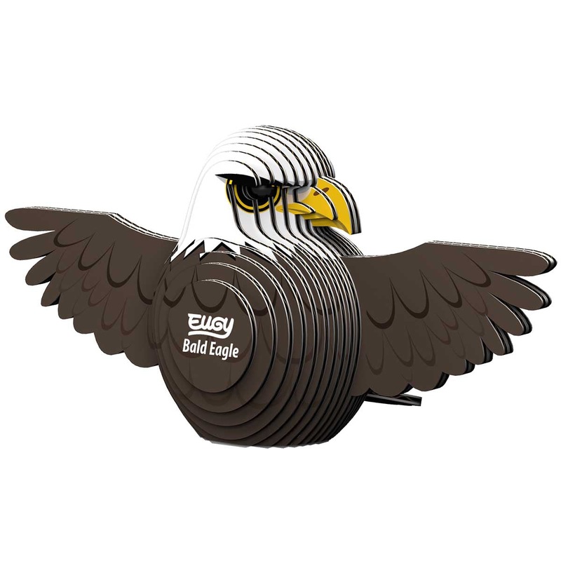 Bald Eagle Eugy