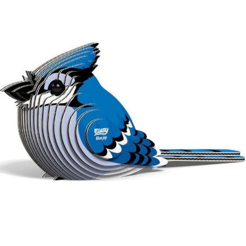 Blue Jay Eugy