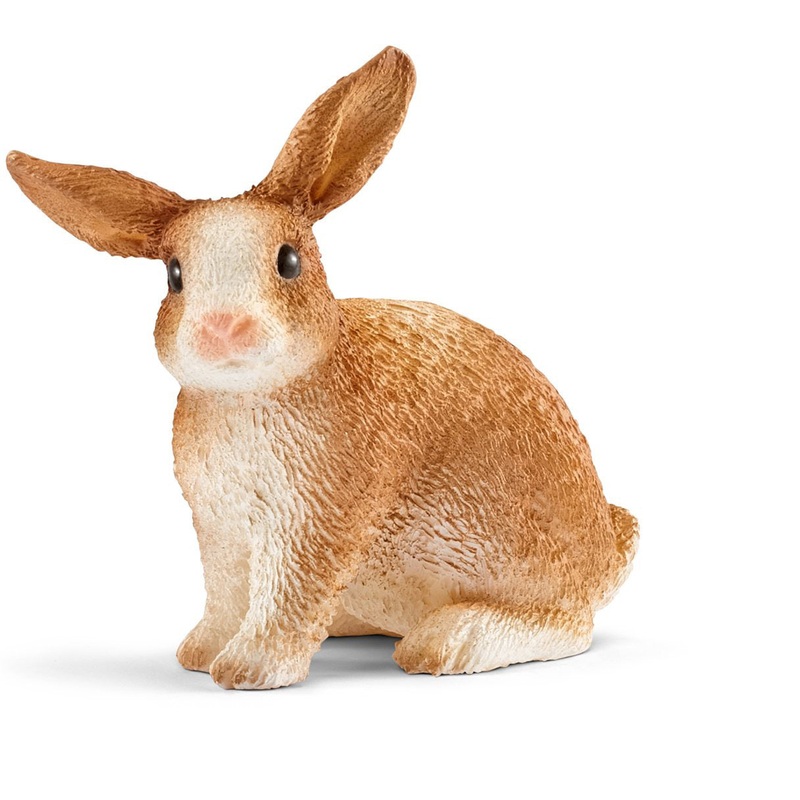 Rabbit