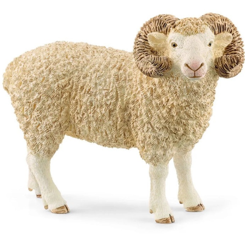 Ram