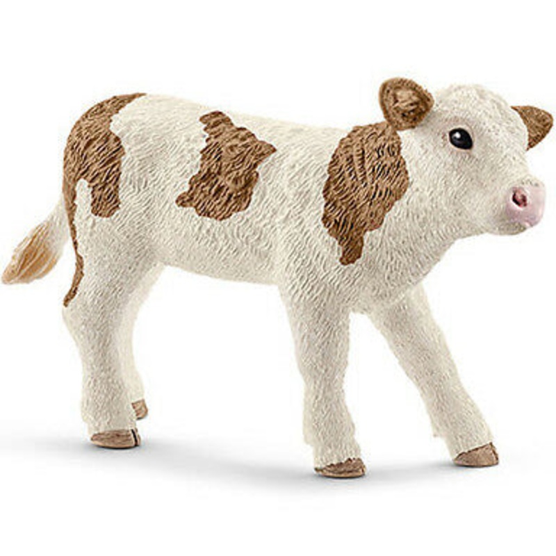 Simmental Calf