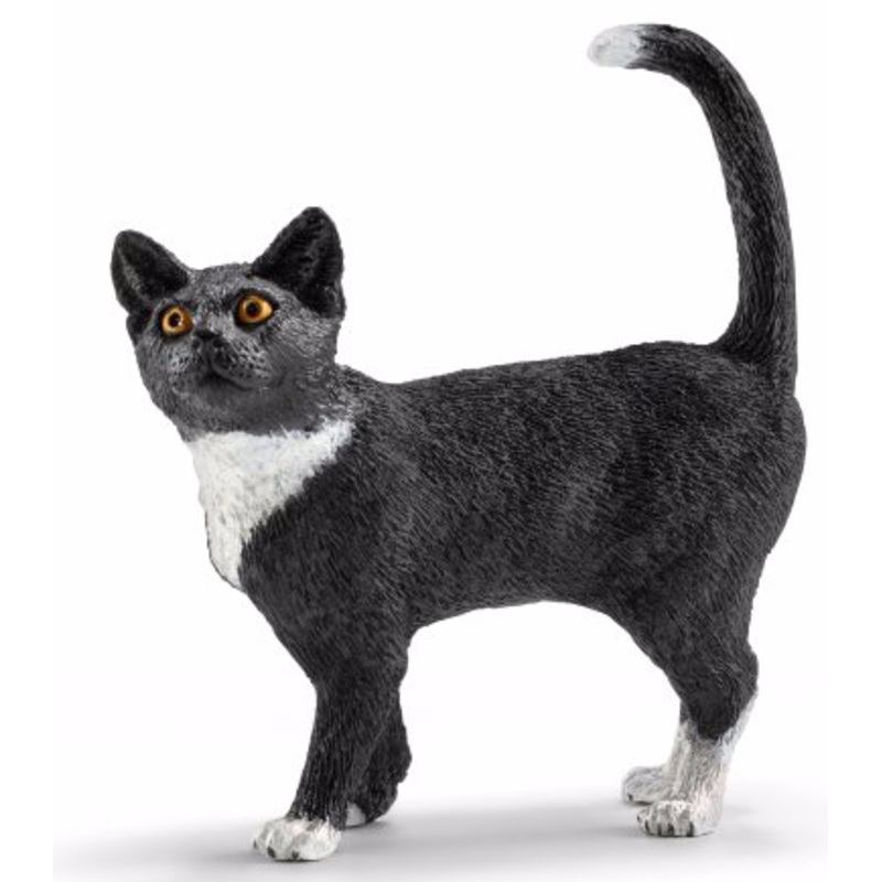 Standing Cat
