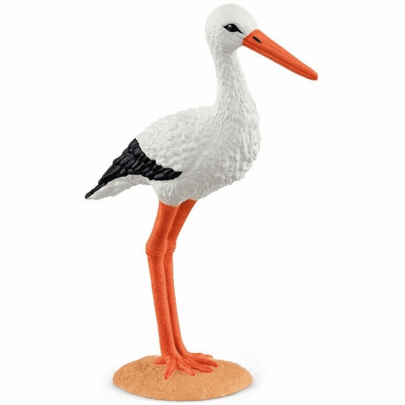 Stork