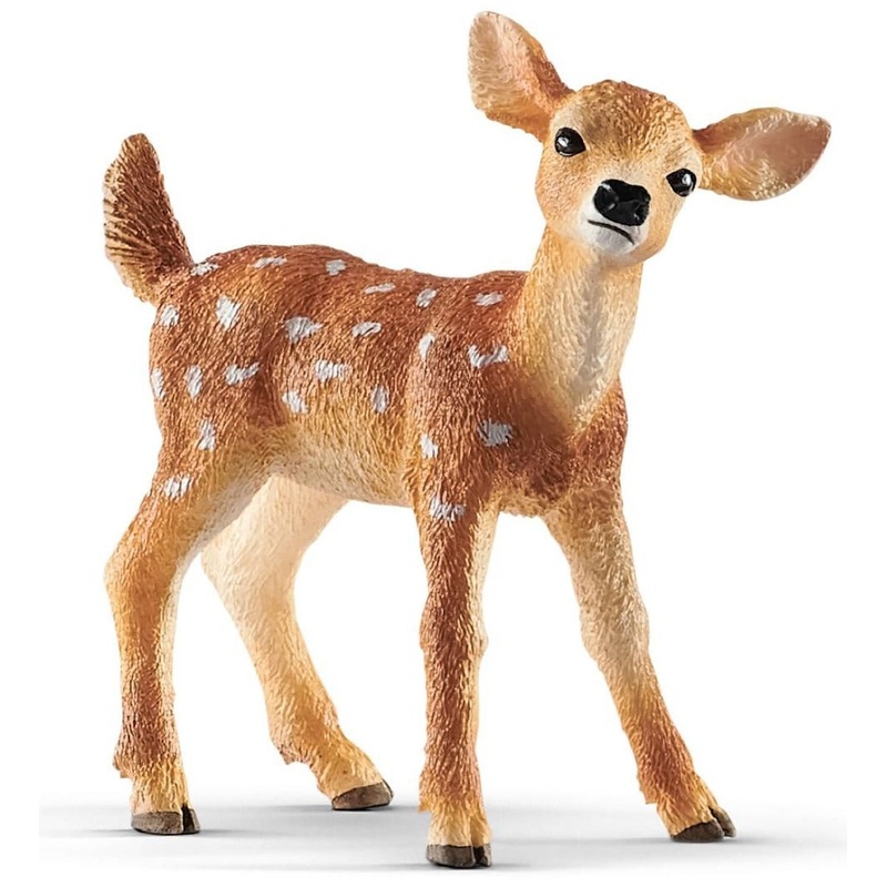 White-Tailed Fawn